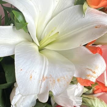 Adana Beyaz Saray Çiçekçilik Kötü Ürün Gönderimi