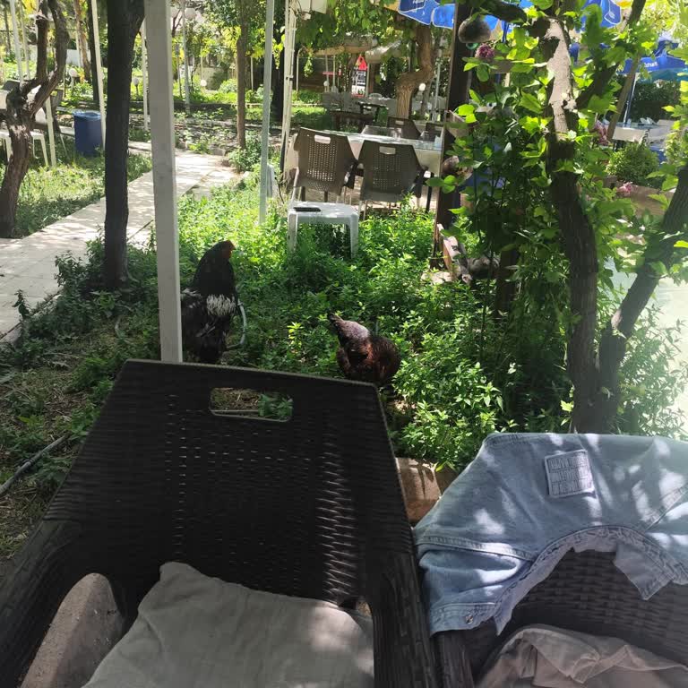 Cennet Bahçesi Zorunlu Kişi Sınırı Ve Yetersiz Kahvaltı Deneyimi