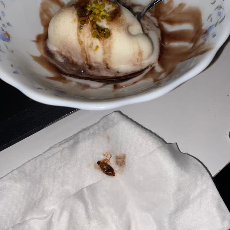 Dondurmadan Böcek Çıkmasıyla Hayal Kırıklığı Yaşadım