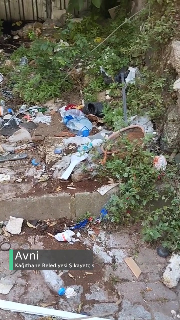 Kağıthane Belediyesi Temizlik Ve Ağaç Kesimi videonun kapak resmi