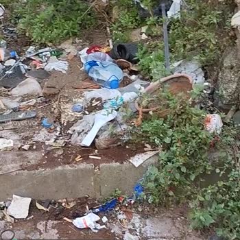 Kağıthane Belediyesi Temizlik Ve Ağaç Kesimi