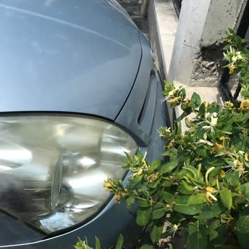 Hasar Sonrası Kasko Ödemesinde Haksız Red Ve Güven Kaybı