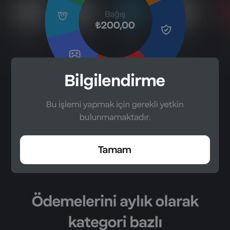 Papara Hesabımda Aniden Uygulanan Kısıtlama Mağduriyetimi Artırdı