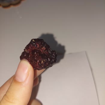 BİMden Alınan Orman Meyvelerinde Kurt Çıktı Sağlığımız Tehlikede