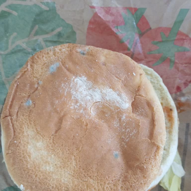Küflü Ekmekle Gelen Whopper Menü Mağduriyeti