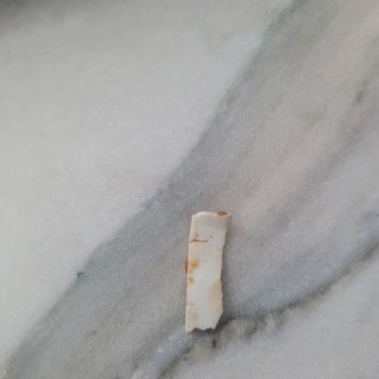 Çocuk İçin Alınan Üründen Plastik Parça Çıktı Endişesi