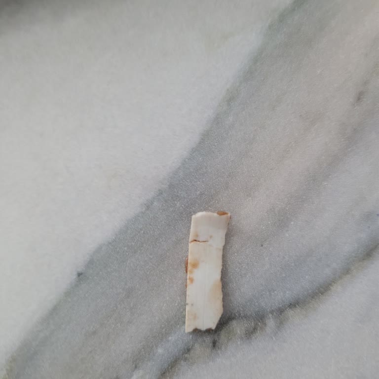 Çocuk İçin Alınan Üründen Plastik Parça Çıktı Endişesi