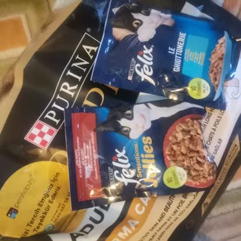 Kedi Maması Nedeniyle Yaşanan Sağlık Sorunu