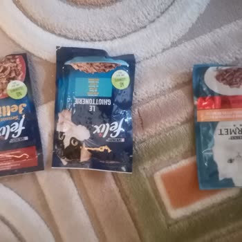 Kedi Maması Nedeniyle Yaşanan Sağlık Sorunu