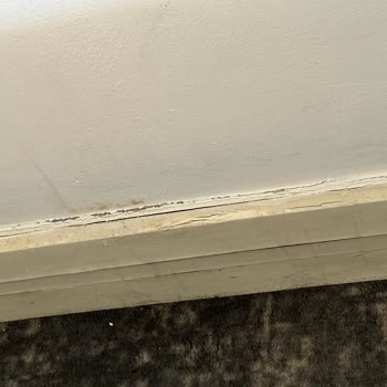 Oscar Otel'de Hijyen Ve Hizmet Fiyaskosu: Tatilimiz Kabusa Döndü