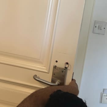 Oscar Otel'de Hijyen Ve Hizmet Fiyaskosu: Tatilimiz Kabusa Döndü