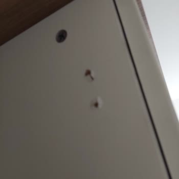 Yanlış Ve Eksik Ürün Teslimatı, İlgisiz Müşteri Hizmetleri