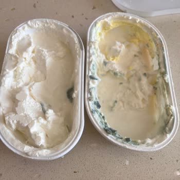 Torku Labne Peynirde Son Kullanma Tarihine Rağmen Küf Sorunu