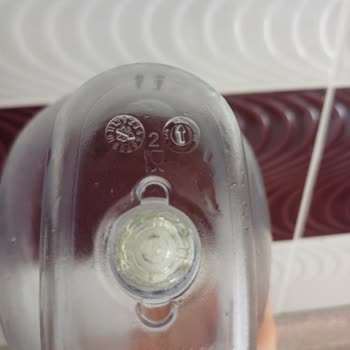 Brita Sürahide Yosunlaşma: Hayal Kırıklığı Ve Pişmanlık!