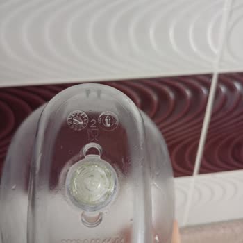 Brita Sürahide Yosunlaşma: Hayal Kırıklığı Ve Pişmanlık!