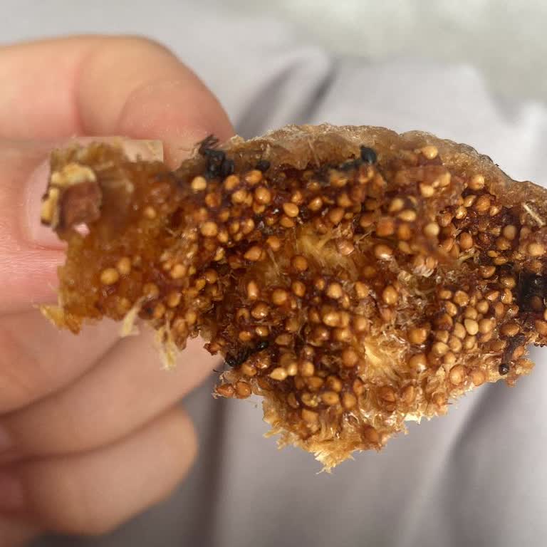 Aldığım İncirden Ölü Karınca Çıktı, Sağlığım Tehlikeye Girdi