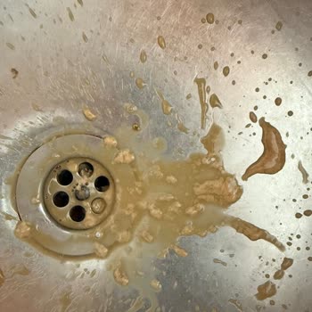 Bozuk Laktozsuz Latte Nedeniyle Sağlık Sorunu Yaşadım