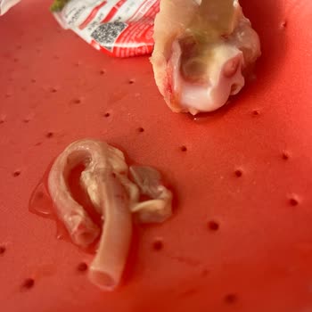 Paketli Tavukta Soluk Borusu Ve Bozuk Parça Şoku