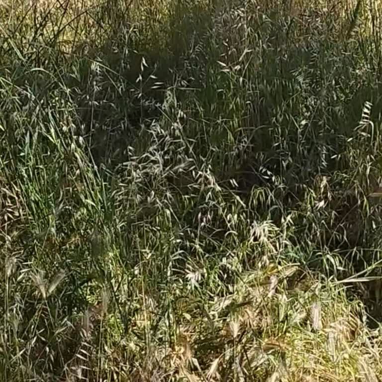 Park Bahçeler Müdürlüğü Şikayeti