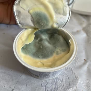 Aldığım Yoğurdun Son Kullanma Tarihine Rağmen Küflü Çıkması Şaşkınlık Yarattı