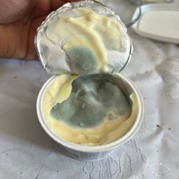 Aldığım Yoğurdun Son Kullanma Tarihine Rağmen Küflü Çıkması Şaşkınlık Yarattı