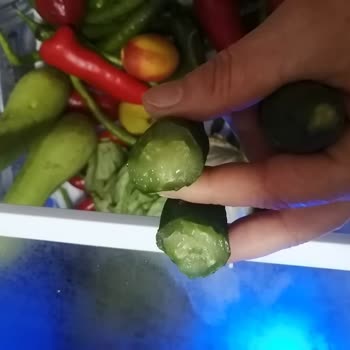 Arçelik Buzdolabında Sebzelik Sorunu Ve Servis Çözümsüzlüğü