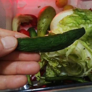 Arçelik Buzdolabında Sebzelik Sorunu Ve Servis Çözümsüzlüğü