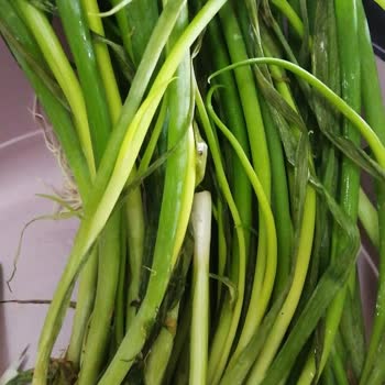 Arçelik Buzdolabında Sebzelik Sorunu Ve Servis Çözümsüzlüğü