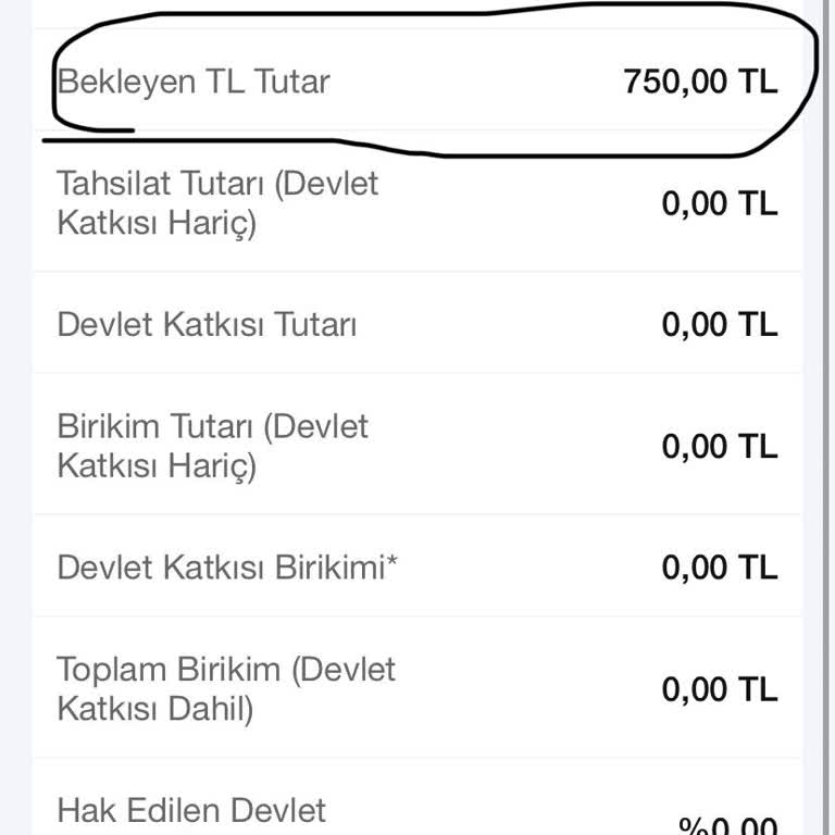 BES Hesabıma Yatırdığım 750 TL Görünmüyor İptal İşlemi Yapılamıyor