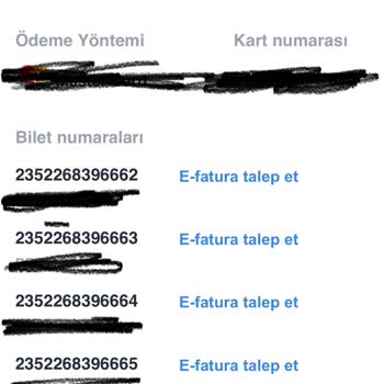 THY Uçuşunda Koltuk Değişikliği Ve Aile Düzeni Sorunu Yaşadık