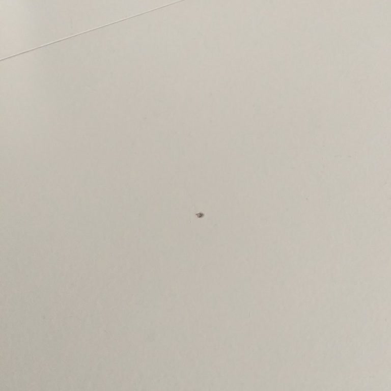 Bellona Ürünlerinde Kısa Sürede Yaşanan Sorunlar Ve Garanti Desteği Eksikliği