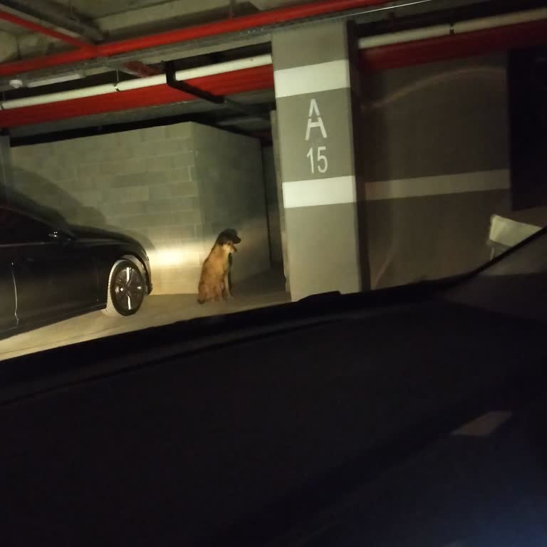 Sur Yapı Muhit Sitesi Memnuniyetsizliği