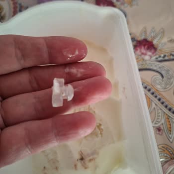 Algida Dondurma İçinden Yabancı Cisim Çıktı, Güvenim Sarsıldı