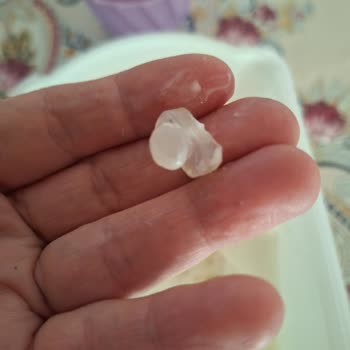 Algida Dondurma İçinden Yabancı Cisim Çıktı, Güvenim Sarsıldı