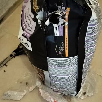 Eksik Ve Hasarlı Kedi Maması: Sorunuma Çözüm Sunulmuyor!