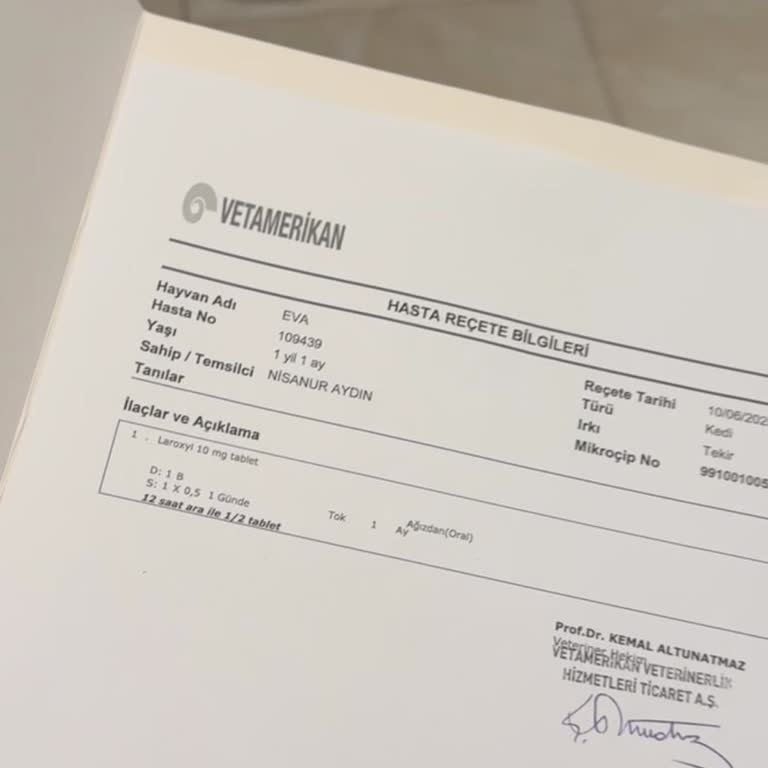 Kedime Yanlış Ve Yetersiz Tedavi: Pişmanlık Dolu Bir Deneyim