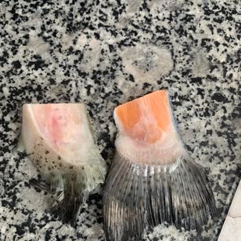 Somon Paketinden Yüzgeç Çıkması Hayal Kırıklığı Yarattı