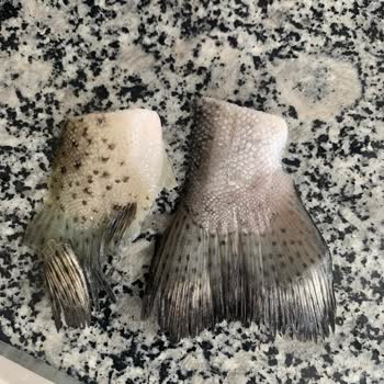 BİM'den Alınan Somon Paketinde Yüzgeç Çıkması Hayal Kırıklığı Yarattı