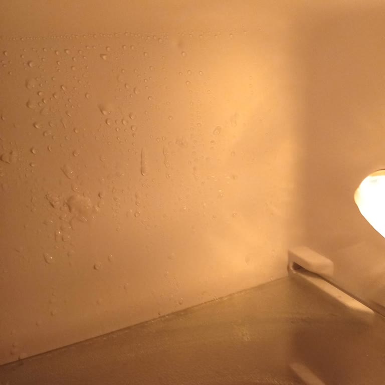 Dijitsu Buzdolabında Buzlanma Sorunu Ve Servis Gecikmesi