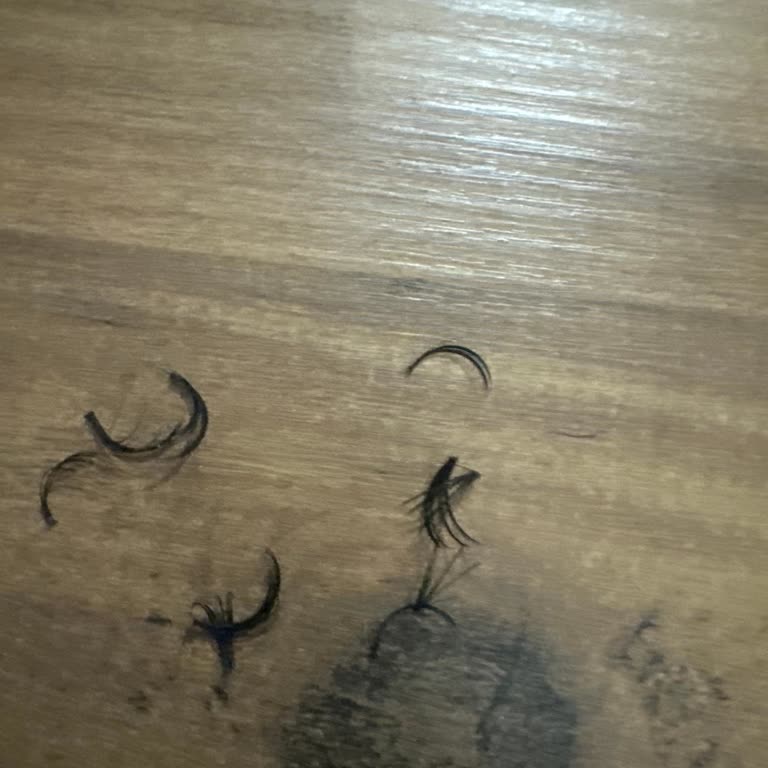 Güzellik Hizmetlerinde Yaşanan Memnuniyetsizlik