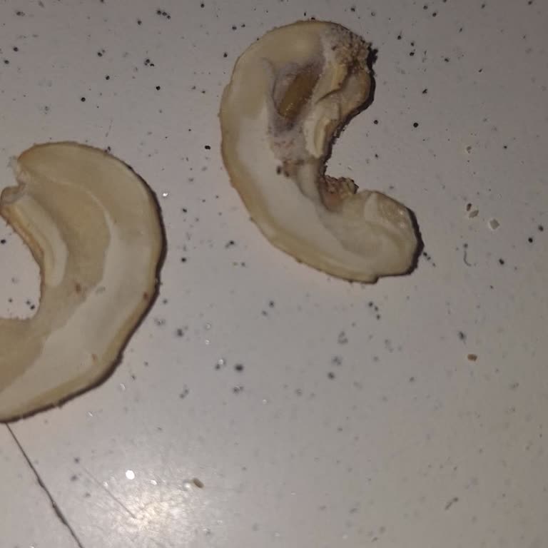 Siparişimdeki Ürünlerde Hijyen Ve Hazırlık Sorunu