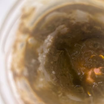 Tamek Pesto Sosun Hızlı Küflenmesi Ve Sağlık Riski