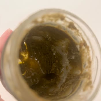 Tamek Pesto Sosun Hızlı Küflenmesi Ve Sağlık Riski