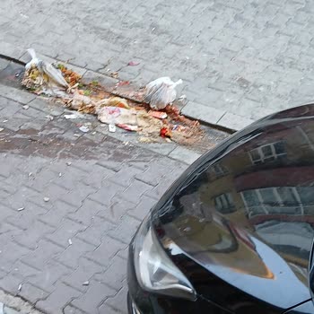 İstanbul Büyükşehir Belediyesi Çöp Şikayeti