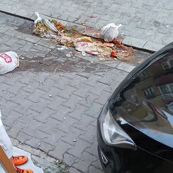 İstanbul Büyükşehir Belediyesi Çöp Şikayeti