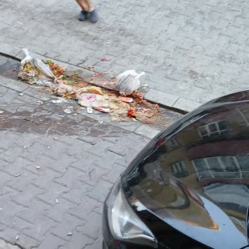 İstanbul Büyükşehir Belediyesi Çöp Şikayeti