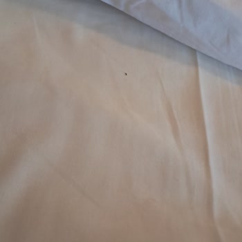Tatilbudur Hijyen Sorunları Ve İade Mağduriyeti Yaşadık