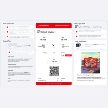 Uçağa Alınmama Ve Ekstra Ücret Mağduriyeti: Sağlık Durumu Dikkate Alınmadı