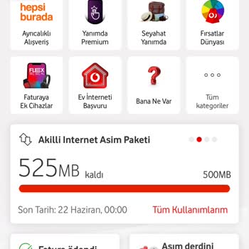 Onayım Olmadan Ek İnternet Yüklenip 110 TL Ücret Alındı!