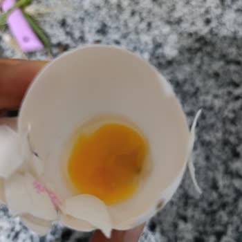 Aldığım Yumurtaların Bozuk Çıkması Nedeniyle Mağduriyet Yaşıyorum